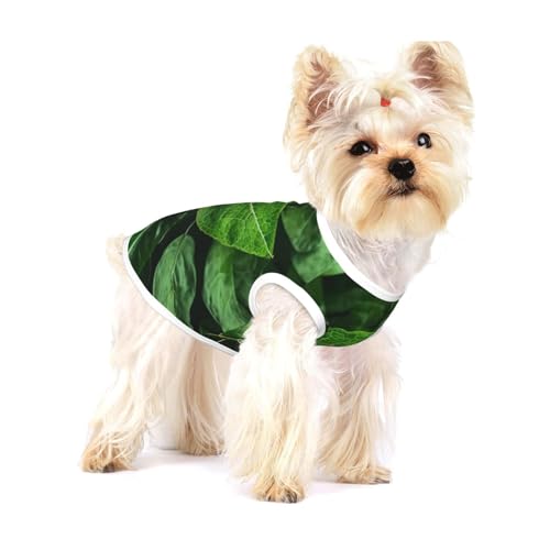 Green Leaf Nature Hunde-T-Shirt, dehnbar, weich, kühl, ärmellos, gestreift, atmungsaktiv, für Welpen, Kätzchen, Katzen, Größe S von WXZYFP