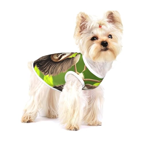Niedliches Faultier-T-Shirt, groß, dehnbar, weich, cool, ärmellos, gestreift, atmungsaktiv, Kleidung für Welpen, Kätzchen, Katzen, klein Niedliches Faultier-T-Shirt, groß, dehnbar, weich, cool, ärmellos, gestreift, atmungsaktiv, Kleidung für Welpen, Kätzchen, Katzen, klein von WXZYFP