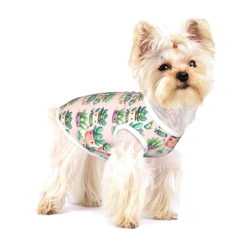 Schöne Sukkulenten-Hunde-T-Shirts, mittelgroß, dehnbar, weich, cool, ärmellos, gestreift, atmungsaktiv, Kleidung für Welpen, Kätzchen, Katzen, Größe S von WXZYFP