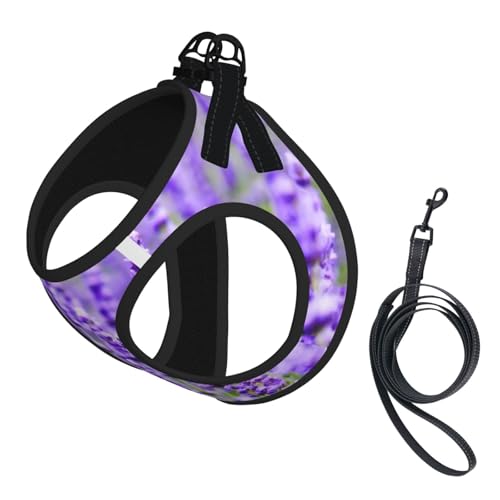 Hundegeschirr für den Sommer, weich, leicht, atmungsaktiv, reflektierend, für einfaches Spazierengehen, Violett Hundegeschirr für den Sommer, weich, leicht, atmungsaktiv, reflektierend, für einfaches Spazierengehen, Violett von WYCZHY