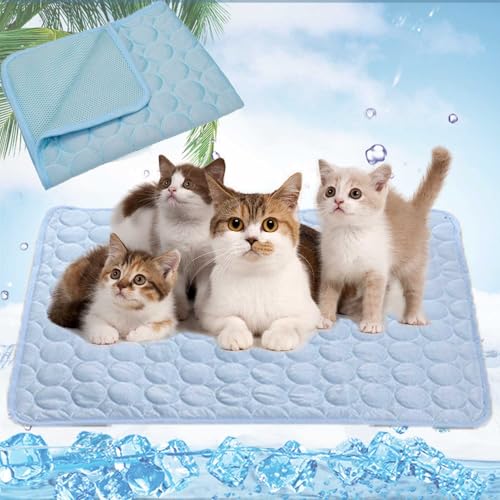 WYDDSX 2025 Kühlmatte Hund,Kühlmatte Katze,Kühldecke Hund Selbstkühlend,Hundekühlmatte Für & Katze Selbstkühlende Matte Für Haustiere Summer Pet Ice Pad (Hellblau,XL（100 * 70cm）) von WYDDSX