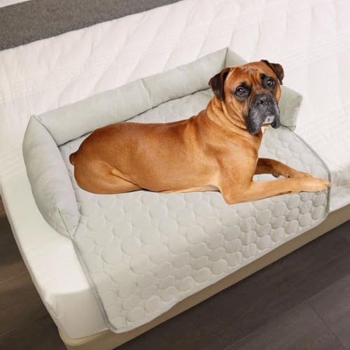 WYDDSX Pelsbarn Cooling Bed,Pelsbarn Cooling Dog Bed for Car,Self Cool Dog Sofa Mat with Ice Silk Fabric,Durable Anti-Scratch Gel Pad for Dogs Cats in Hot Summer (70 * 70cm,Gray) von WYDDSX