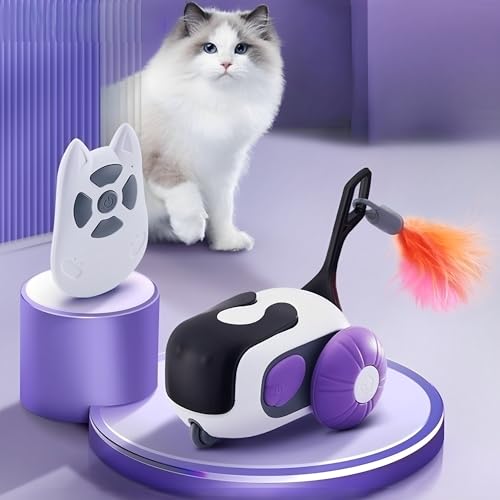 WYFCR Interaktives Katzenspielzeug mit Fernbedienung, Intelligenter Katzenball mit 2 Modi, Intelligentes Elektrisches Haustierspielzeug, USB Wiederaufladbar, Geschenke für Katzen(Violett) von WYFCR