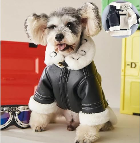 Hundekleidung, warmer Mantel für kleine und mittelgroße Hunde, Schnauzer, Bulldogge, Kapuzenpullover, Kleidung, Stil, Halloween, Größe L von WYOERN