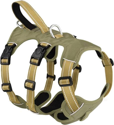 WYOERN Reflektierendes Hundegeschirr für den Außenbereich, strapazierfähiges Nylon, wasserdicht, kein Ziehen, Hundegeschirr mit Griff, Größe M, Grün von WYOERN