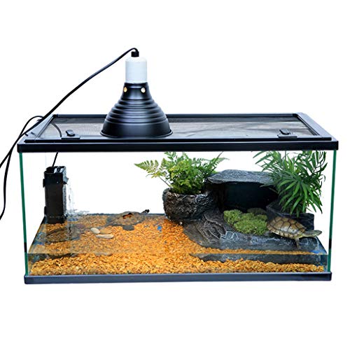 Haustierzuchtbox, HD-transparentes Glasaquarium, multifunktionales Zierlandschaftsbecken, leicht zu reinigen (schwarz, 60 x 30 x 35 cm) von WYRMB