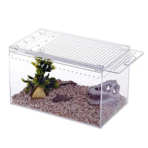 Reptilien-Futterbox, Haustier-Ausstellungsbox, Amphibien-Lebensraum, Eidechse, Chamäleon, Horn, Frosch, Schlange, Skorpion, Einsiedlerkrebs, Zuchtbox (transparent, 30 x 20 x 15 cm) von WYRMB