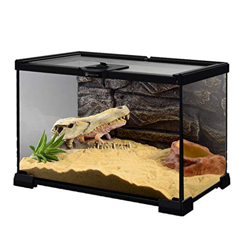 Reptilien-Terrarium, ansprechender Lebensraum für Reptilien aus Glas, sichere Fütterung, transparent, einfach zu montieren (schwarz, 30 x 20 x 19 cm) von WYRMB