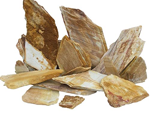 WYSKONT Schiefersteine - Aquarium Deko - Terrarium Deko - Aquarium Steine 1 kg Regenbogen - Aquarium Höhle - Aquarium Dekoration - Naturstein - Aquarium Zubehoer - Aquascaping Gestein Rückwand WYSKONT Schiefersteine - Aquarium Deko - Terrarium Deko - Aquarium Steine 1 kg Regenbogen - Aquarium Höhle - Aquarium Dekoration - Naturstein - Aquarium Zubehoer - Aquascaping Gestein Rückwand von WYSKONT