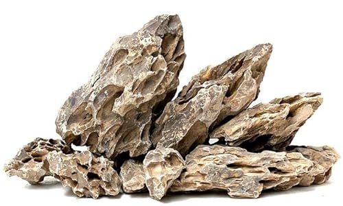 WYSKONT Steine für Aquarium oder Terrarium – Naturdekoration für Aquarien – Marine-Ziersteine – geeignet für Iwagumi-Biotyp – unterstützt Wasserfilterung, 10 kg Drache WYSKONT Steine für Aquarium oder Terrarium – Naturdekoration für Aquarien – Marine-Ziersteine – geeignet für Iwagumi-Biotyp – unterstützt Wasserfilterung, 10 kg Drache von WYSKONT