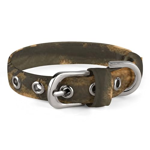 Niedliches Katzenhalsband, Blick auf typische toskanische Landschaft, mit Abreißband, personalisierbares Hundehalsband, geeignet für kleine und mittelgroße Hunde Niedliches Katzenhalsband, Blick auf typische toskanische Landschaft, mit Abreißband, personalisierbares Hundehalsband, geeignet für kleine und mittelgroße Hunde von WYUSPGK
