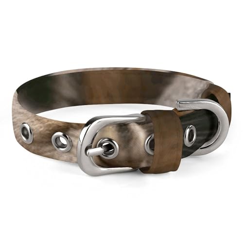 Niedliches Katzenhalsband, Eichhörnchen-Motiv, personalisierbar, geeignet für kleine und mittelgroße Hunde Niedliches Katzenhalsband, Eichhörnchen-Motiv, personalisierbar, geeignet für kleine und mittelgroße Hunde von WYUSPGK