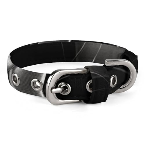 Niedliches Katzenhalsband, Fußball-Druck, personalisierbar, geeignet für kleine und mittelgroße Hunde Niedliches Katzenhalsband, Fußball-Druck, personalisierbar, geeignet für kleine und mittelgroße Hunde von WYUSPGK
