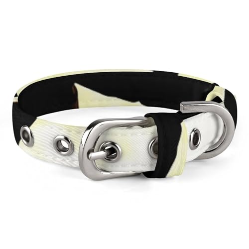 Niedliches Katzenhalsband, Skateboard-1-Aufdruck, personalisierbar, geeignet für kleine und mittelgroße Hunde Niedliches Katzenhalsband, Skateboard-1-Aufdruck, personalisierbar, geeignet für kleine und mittelgroße Hunde von WYUSPGK