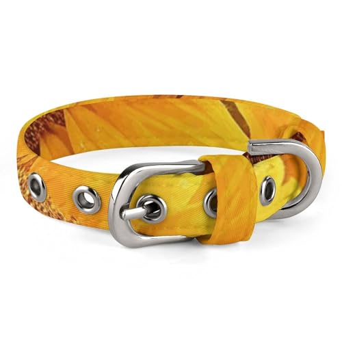 Niedliches Katzenhalsband, Sonnenblumen-Druck, personalisierbar, geeignet für kleine und mittelgroße Hunde Niedliches Katzenhalsband, Sonnenblumen-Druck, personalisierbar, geeignet für kleine und mittelgroße Hunde von WYUSPGK