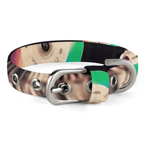 Niedliches Katzenhalsband, Vinyl-Schallplatten-Druck, personalisierbares Hundehalsband, geeignet für kleine und mittelgroße Hunde Niedliches Katzenhalsband, Vinyl-Schallplatten-Druck, personalisierbares Hundehalsband, geeignet für kleine und mittelgroße Hunde von WYUSPGK