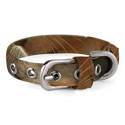 Niedliches Katzenhalsband, Wildtier-Eichhörnchen-Druck, personalisierbar, geeignet für kleine und mittelgroße Hunde Niedliches Katzenhalsband, Wildtier-Eichhörnchen-Druck, personalisierbar, geeignet für kleine und mittelgroße Hunde von WYUSPGK