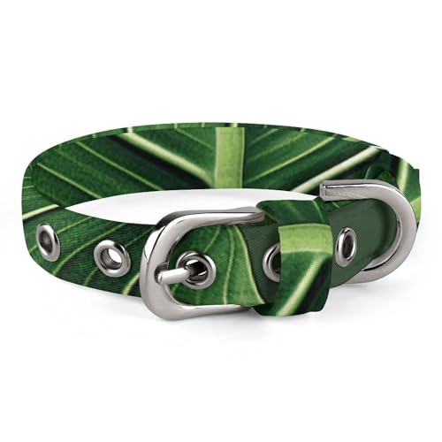 Niedliches Katzenhalsband, sommerliches tropisches Blattmuster, personalisierbares Hundehalsband, geeignet für kleine und mittelgroße Hunde Niedliches Katzenhalsband, sommerliches tropisches Blattmuster, personalisierbares Hundehalsband, geeignet für kleine und mittelgroße Hunde von WYUSPGK