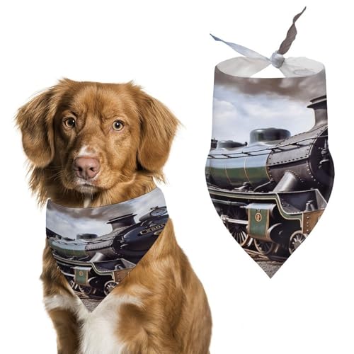 Stylisches Haustier-Halstuch für Katzen und Hunde, Dreieckstuch mit Dampflokomotiven-Druck, leicht und langlebig, perfekt für den täglichen Gebrauch oder besondere Anlässe Stylisches Haustier-Halstuch für Katzen und Hunde, Dreieckstuch mit Dampflokomotiven-Druck, leicht und langlebig, perfekt für den täglichen Gebrauch oder besondere Anlässe von WYUSPGK