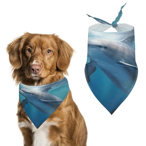 Stylisches Haustier-Halstuch für Katzen und Hunde, Dreieckstuch mit Delfin-Druck, leicht und langlebig, perfekt für den täglichen Gebrauch oder besondere Anlässe Stylisches Haustier-Halstuch für Katzen und Hunde, Dreieckstuch mit Delfin-Druck, leicht und langlebig, perfekt für den täglichen Gebrauch oder besondere Anlässe von WYUSPGK
