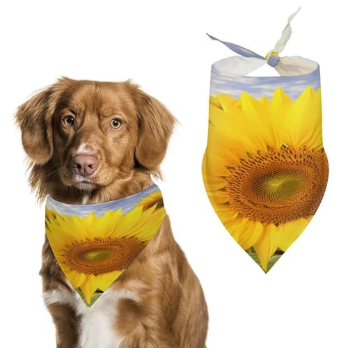 Stylisches Haustier-Halstuch für Katzen und Hunde, Dreieckstuch mit Sonnenblumen-Druck, leicht und langlebig, perfekt für den täglichen Gebrauch oder besondere Anlässe Stylisches Haustier-Halstuch für Katzen und Hunde, Dreieckstuch mit Sonnenblumen-Druck, leicht und langlebig, perfekt für den täglichen Gebrauch oder besondere Anlässe von WYUSPGK