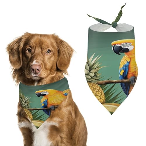 Stylisches Haustier-Halstuch für Katzen und Hunde, Sommer-Tuch mit Papageien-Ananas-Vogel-Druck, leicht und langlebig, perfekt für den täglichen Gebrauch oder besondere Anlässe Stylisches Haustier-Halstuch für Katzen und Hunde, Sommer-Tuch mit Papageien-Ananas-Vogel-Druck, leicht und langlebig, perfekt für den täglichen Gebrauch oder besondere Anlässe von WYUSPGK
