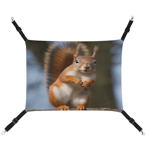 WYUSPGK Gemütliche Haustier-Hängematte, Eichhörnchen, lustiger Tierdruck, atmungsaktiv, platzsparendes Canvas-Bett für Katzen und kleine Hunde, verstellbar, tragbar und leicht zu reinigen WYUSPGK Gemütliche Haustier-Hängematte, Eichhörnchen, lustiger Tierdruck, atmungsaktiv, platzsparendes Canvas-Bett für Katzen und kleine Hunde, verstellbar, tragbar und leicht zu reinigen von WYUSPGK