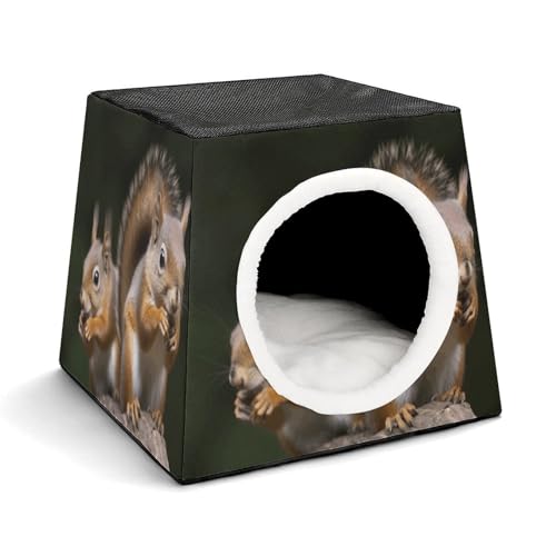 WYUSPGK Kapsel-Haustiernest, stilvolles und gemütliches Weltraumkapsel-Design für kleine Haustiere, Eichhörnchen-Tierdruck, stilvolles Haustiernest, gemütliches Haustiernest, tragbares Haustiernest WYUSPGK Kapsel-Haustiernest, stilvolles und gemütliches Weltraumkapsel-Design für kleine Haustiere, Eichhörnchen-Tierdruck, stilvolles Haustiernest, gemütliches Haustiernest, tragbares Haustiernest von WYUSPGK