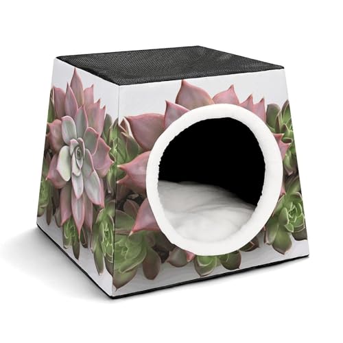 WYUSPGK Kapsel-Haustiernest, stilvolles und gemütliches Weltraumkapsel-Design für kleine Haustiere, Sukkulenten, botanischer Druck, stilvolles Haustiernest, gemütliches Haustiernest, tragbares WYUSPGK Kapsel-Haustiernest, stilvolles und gemütliches Weltraumkapsel-Design für kleine Haustiere, Sukkulenten, botanischer Druck, stilvolles Haustiernest, gemütliches Haustiernest, tragbares von WYUSPGK