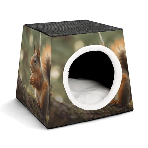 WYUSPGK Kapsel-Haustiernest, stilvolles und gemütliches Weltraumkapsel-Design für kleine Haustiere, Wildtiere, Eichhörnchen-Druck, stilvolles Haustiernest, gemütliches Haustiernest, tragbares von WYUSPGK
