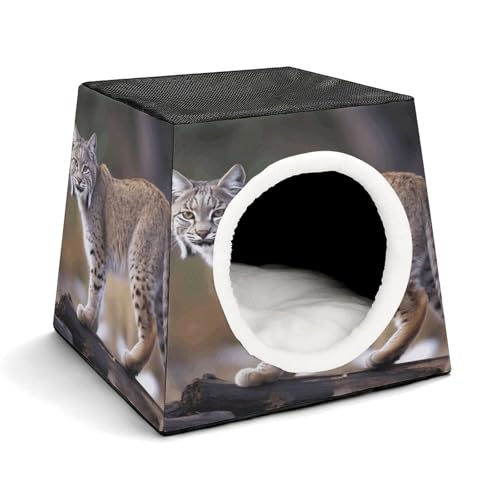 WYUSPGK Kapsel-Haustiernest, stilvolles und gemütliches Weltraumkapsel-Design für kleine Haustiere, wilder Bobcat-Druck, stilvolles Haustiernest, gemütliches Haustiernest, tragbares Haustiernest WYUSPGK Kapsel-Haustiernest, stilvolles und gemütliches Weltraumkapsel-Design für kleine Haustiere, wilder Bobcat-Druck, stilvolles Haustiernest, gemütliches Haustiernest, tragbares Haustiernest von WYUSPGK