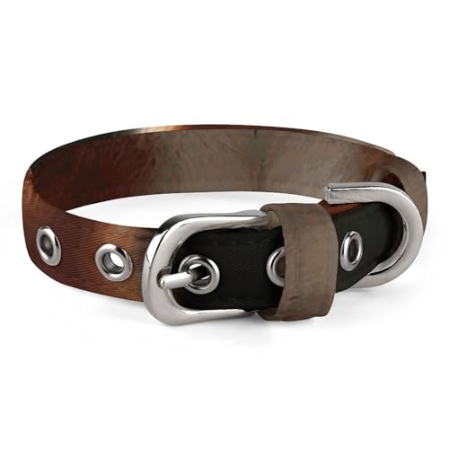 WYUSPGK Niedliches Katzenhalsband, Eichhörnchen, lustiges Tier, 1-Druck, personalisierbar, geeignet für kleine und mittelgroße Hunde WYUSPGK Niedliches Katzenhalsband, Eichhörnchen, lustiges Tier, 1-Druck, personalisierbar, geeignet für kleine und mittelgroße Hunde von WYUSPGK