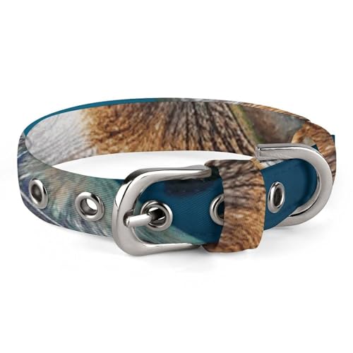 WYUSPGK Niedliches Katzenhalsband, Meeresschildkrötenmuster, personalisierbar, geeignet für kleine und mittelgroße Hunde WYUSPGK Niedliches Katzenhalsband, Meeresschildkrötenmuster, personalisierbar, geeignet für kleine und mittelgroße Hunde von WYUSPGK