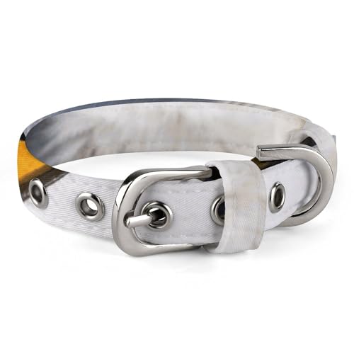 WYUSPGK Niedliches Katzenhalsband, Schnee-Eulen-Augen, mit Abreißverschluss, personalisierbar, geeignet für kleine und mittelgroße Hunde WYUSPGK Niedliches Katzenhalsband, Schnee-Eulen-Augen, mit Abreißverschluss, personalisierbar, geeignet für kleine und mittelgroße Hunde von WYUSPGK