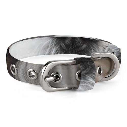WYUSPGK Niedliches Katzenhalsband, Shih Tzu Hunde-Aufdruck, personalisierbar, geeignet für kleine und mittelgroße Hunde WYUSPGK Niedliches Katzenhalsband, Shih Tzu Hunde-Aufdruck, personalisierbar, geeignet für kleine und mittelgroße Hunde von WYUSPGK