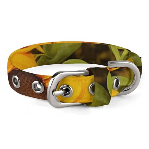 WYUSPGK Niedliches Katzenhalsband, Sonnenblumen-Druck, personalisierbar, geeignet für kleine und mittelgroße Hunde WYUSPGK Niedliches Katzenhalsband, Sonnenblumen-Druck, personalisierbar, geeignet für kleine und mittelgroße Hunde von WYUSPGK