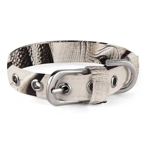 WYUSPGK Niedliches Katzenhalsband, Südafrika, Tierdruck, personalisierbar, geeignet für kleine und mittelgroße Hunde WYUSPGK Niedliches Katzenhalsband, Südafrika, Tierdruck, personalisierbar, geeignet für kleine und mittelgroße Hunde von WYUSPGK