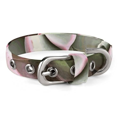 WYUSPGK Niedliches Katzenhalsband, Sukkulenten, botanischer Druck, personalisiertes Hundehalsband, geeignet für kleine und mittelgroße Hunde WYUSPGK Niedliches Katzenhalsband, Sukkulenten, botanischer Druck, personalisiertes Hundehalsband, geeignet für kleine und mittelgroße Hunde von WYUSPGK