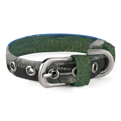 WYUSPGK Niedliches Katzenhalsband, Tahiti Beach1 Aufdruck, personalisierbar, geeignet für kleine und mittelgroße Hunde WYUSPGK Niedliches Katzenhalsband, Tahiti Beach1 Aufdruck, personalisierbar, geeignet für kleine und mittelgroße Hunde von WYUSPGK