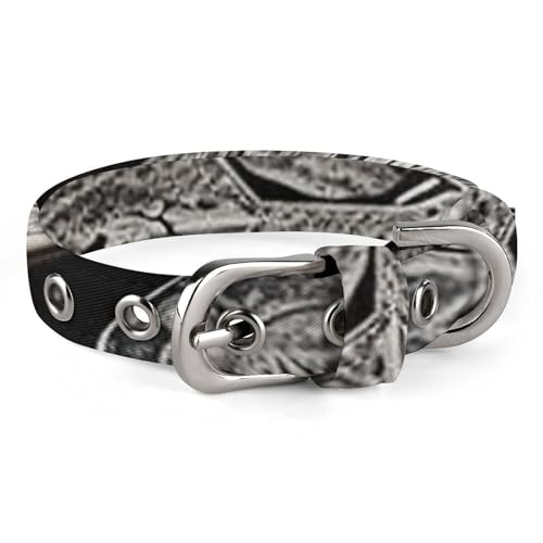 WYUSPGK Niedliches Katzenhalsband, mit Skate-Board-Aufdruck, personalisierbar, geeignet für kleine und mittelgroße Hunde WYUSPGK Niedliches Katzenhalsband, mit Skate-Board-Aufdruck, personalisierbar, geeignet für kleine und mittelgroße Hunde von WYUSPGK