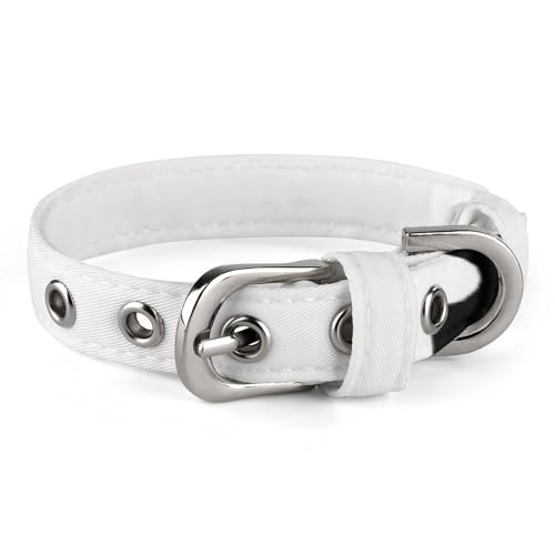 WYUSPGK Niedliches Katzenhalsband, mit Zeitaufdruck, personalisierbar, geeignet für kleine und mittelgroße Hunde WYUSPGK Niedliches Katzenhalsband, mit Zeitaufdruck, personalisierbar, geeignet für kleine und mittelgroße Hunde von WYUSPGK