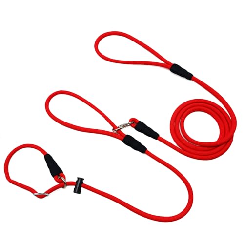 WYuZe Hundeleine mit Doppelgriff, klein, 2,1 m x 0,6 cm, kein Verheddern, Anti-Würgen, rutschfestes Hundehalsband und Leine, Hundetrainingsleine zum Ziehen, Rot WYuZe Hundeleine mit Doppelgriff, klein, 2,1 m x 0,6 cm, kein Verheddern, Anti-Würgen, rutschfestes Hundehalsband und Leine, Hundetrainingsleine zum Ziehen, Rot von WYUZE