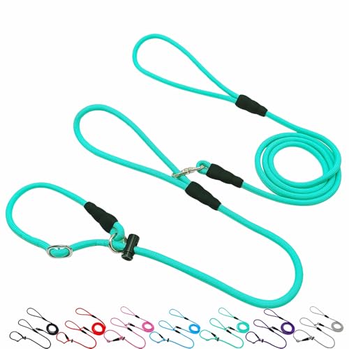 WYuZe Hundeleine mit Doppelgriff, klein, 2,1 m x 0,6 cm, kein Verheddern, Anti-Würgen, rutschfestes Hundehalsband und Leine, Hundetrainingsleine zum Ziehen, Türkis WYuZe Hundeleine mit Doppelgriff, klein, 2,1 m x 0,6 cm, kein Verheddern, Anti-Würgen, rutschfestes Hundehalsband und Leine, Hundetrainingsleine zum Ziehen, Türkis von WYUZE