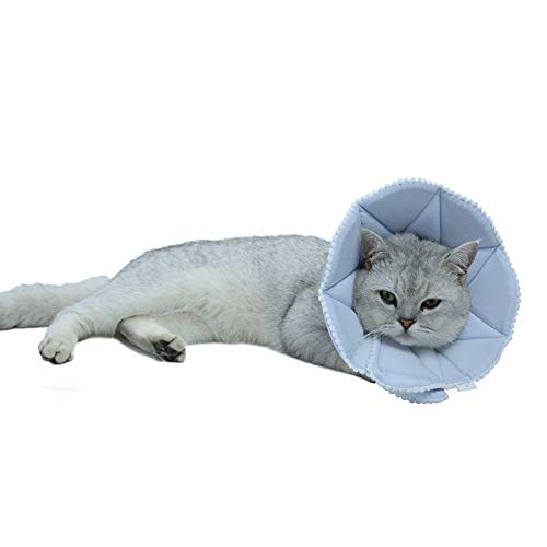 WZ PET Soft Cat Recovery Collar,Adjustable Dog Cat Cone,Dog Protective Cone Collar After Surgery,for Cats and Puppy,Small,Blue WZ PET Soft Cat Recovery Collar,Adjustable Dog Cat Cone,Dog Protective Cone Collar After Surgery,for Cats and Puppy,Small,Blue von WZ PET