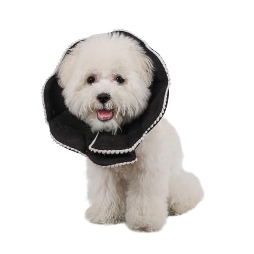WZ PET Verstellbarer Kegel für kleine Hunde, weiches Katzenhalsband, niedliches Katzen-OP-Halsband für Kätzchen, Welpen, Schwarz, Größe M WZ PET Verstellbarer Kegel für kleine Hunde, weiches Katzenhalsband, niedliches Katzen-OP-Halsband für Kätzchen, Welpen, Schwarz, Größe M von WZ PET