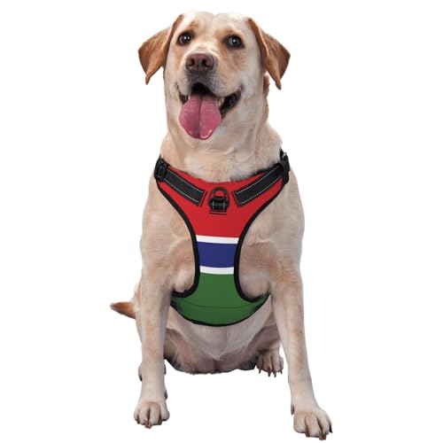 Bedruckte Haustierweste mit Flagge Gambias, Größe XL, ideal für Spaziergänge mit dem Hund, Wandern, tägliche Reisen Bedruckte Haustierweste mit Flagge Gambias, Größe XL, ideal für Spaziergänge mit dem Hund, Wandern, tägliche Reisen von WZYCWB