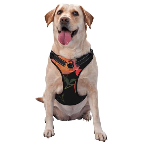Bicolor Hundeweste mit Mondblumen-Motiv, bedruckt, Größe M, ideal für Spaziergänge mit dem Hund, Wandern, tägliche Reisen Bicolor Hundeweste mit Mondblumen-Motiv, bedruckt, Größe M, ideal für Spaziergänge mit dem Hund, Wandern, tägliche Reisen von WZYCWB
