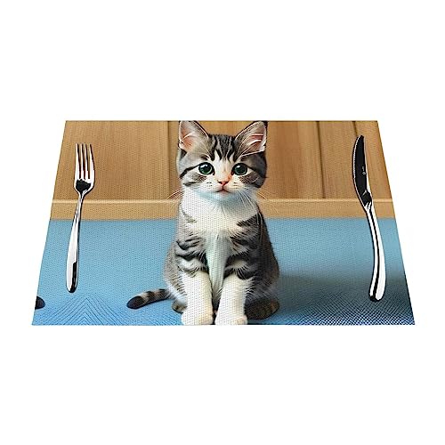 Gewebte Tischsets für Schlafzimmer, Kätzchen, waschbar, wiederverwendbar, PVC, hitzebeständig, 45,7 x 30,5 cm Gewebte Tischsets für Schlafzimmer, Kätzchen, waschbar, wiederverwendbar, PVC, hitzebeständig, 45,7 x 30,5 cm von WZYCWB