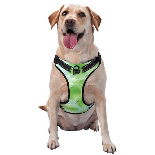 Green Grapes Haustier-Traktionsweste, bedruckt, Größe XL, ideal für Spaziergänge mit dem Hund, Wandern, tägliche Reisen Green Grapes Haustier-Traktionsweste, bedruckt, Größe XL, ideal für Spaziergänge mit dem Hund, Wandern, tägliche Reisen von WZYCWB