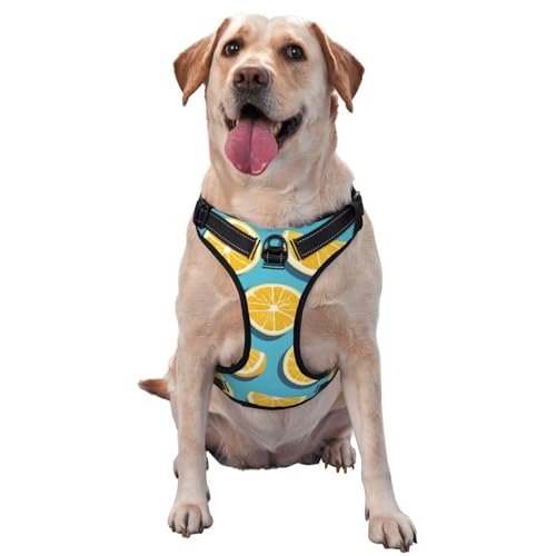 Haustier-Traktionsweste mit Zitronenkeilen, bedruckt, ideal für Spaziergänge mit dem Hund, Wandern, tägliche Reisen Haustier-Traktionsweste mit Zitronenkeilen, bedruckt, ideal für Spaziergänge mit dem Hund, Wandern, tägliche Reisen von WZYCWB